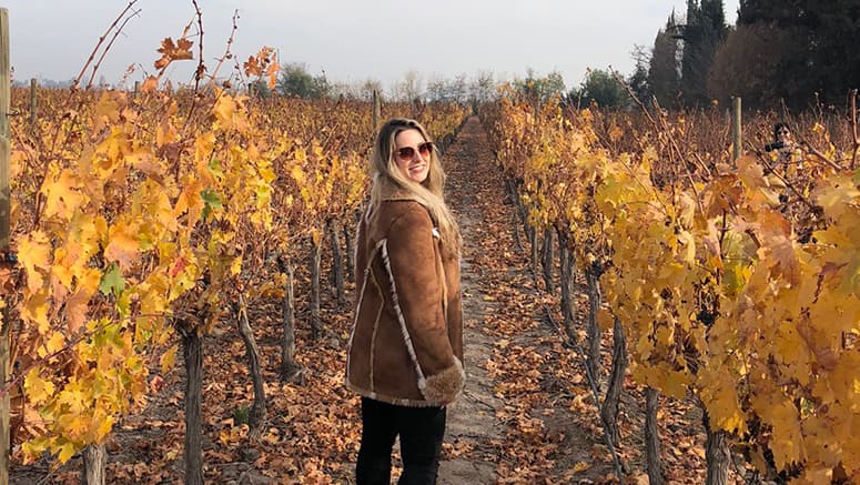Vinicolas de Casablanca Premium